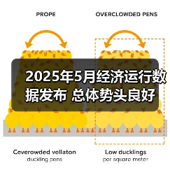 2025年5月经济运行数据发布 总体势头良好(图3) 2025年5月经济运行数据发布 总体势头良好(图3)