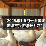 2025年1―5月份全国固定资产投资增长3.7%(图3) 2025年1―5月份全国固定资产投资增长3.7%(图3)