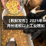 【数据发布】2025年5月份规模以上工业增加值增长5.8%(图3) 【数据发布】2025年5月份规模以上工业增加值增长5.8%(图3)