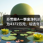 苏常柴A一季度净利润为4372万元,较去年同期增长35%(图1) 苏常柴A一季度净利润为4372万元,较去年同期增长35%(图1)