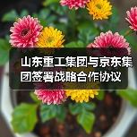 山东重工集团与京东集团签署战略合作协议(图1) 山东重工集团与京东集团签署战略合作协议(图1)