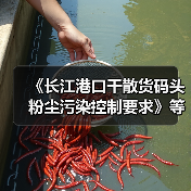 《长江港口干散货码头粉尘污染控制要求》等2项标准立项(图2) 《长江港口干散货码头粉尘污染控制要求》等2项标准立项(图2)