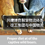 共建绿色智慧物流体系，徐工集团与中国物流签署战略合作协议