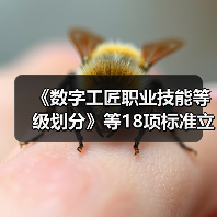 《数字工匠职业技能等级划分》等18项标准立项(图2) 《数字工匠职业技能等级划分》等18项标准立项(图2)