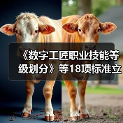《数字工匠职业技能等级划分》等18项标准立项