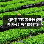 《数字工匠职业技能等级划分》等18项标准立项(图4) 《数字工匠职业技能等级划分》等18项标准立项(图4)