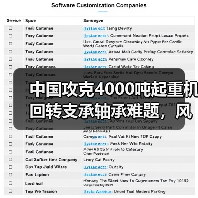中国攻克4000吨起重机回转支承轴承难题,风电吊装有新保障(图4) 中国攻克4000吨起重机回转支承轴承难题,风电吊装有新保障(图4)