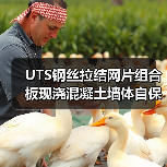 UTS钢丝拉结网片组合板现浇混凝土墙体自保温系统标准发布(图4) UTS钢丝拉结网片组合板现浇混凝土墙体自保温系统标准发布(图4)