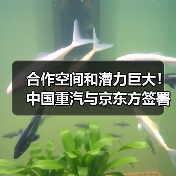 合作空间和潜力巨大!中国重汽与京东方签署战略合作协议(图1) 合作空间和潜力巨大!中国重汽与京东方签署战略合作协议(图1)