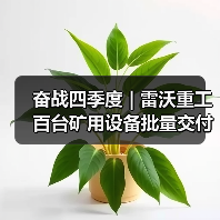 奋战四季度 | 雷沃重工百台矿用设备批量交付智慧矿山!(图3) 奋战四季度 | 雷沃重工百台矿用设备批量交付智慧矿山!(图3)