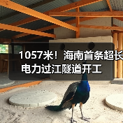 1057米!海南首条超长电力过江隧道开工(图1) 1057米!海南首条超长电力过江隧道开工(图1)