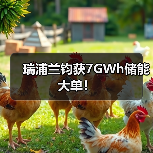 瑞浦兰钧获7GWh储能大单！（图1）