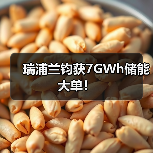 瑞浦兰钧获7GWh储能大单！（图2）