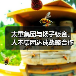太重集团与扬子钣金、人本集团达成战略合作(图2) 太重集团与扬子钣金、人本集团达成战略合作(图2)