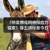 《桥梁用低回缩预应力锚索》等五项标准今日实施(图4) 《桥梁用低回缩预应力锚索》等五项标准今日实施(图4)