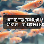 柳工前三季度净利润13.21亿元,同比增长59.82%(图1) 柳工前三季度净利润13.21亿元,同比增长59.82%(图1)