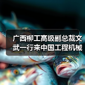 广西柳工高级副总裁文武一行来中国工程机械工业协会进行工作交流（图1）