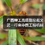广西柳工高级副总裁文武一行来中国工程机械工业协会进行工作交流（图3）