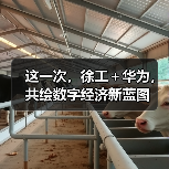 这一次，徐工＋华为，共绘数字经济新蓝图（图1）