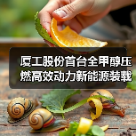 厦工股份首台全甲醇压燃高效动力新能源装载机XG955KM上市（图3）