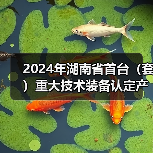 2024年湖南省首台（套）重大技术装备认定产品名单公布（图4）