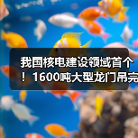 我国核电建设领域首个！1600吨大型龙门吊完成吊装作业（图4）
