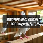 我国核电建设领域首个！1600吨大型龙门吊完成吊装作业（图2）