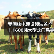 我国核电建设领域首个！1600吨大型龙门吊完成吊装作业（图3）