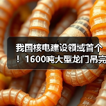 我国核电建设领域首个！1600吨大型龙门吊完成吊装作业（图1）