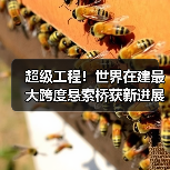 超级工程！世界在建最大跨度悬索桥获新进展（图2）