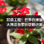 超级工程！世界在建最大跨度悬索桥获新进展（图4）