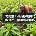 力博重工与海康威视战略合作，推进输送机场景数字化（图3）