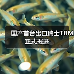 国产首台出口瑞士TBM正式掘进（图1）