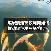 煤炭清洁高效利用如何推动绿色发展新路径?(图3) 煤炭清洁高效利用如何推动绿色发展新路径?(图3)