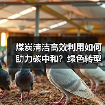 煤炭清洁高效利用如何助力碳中和?绿色转型路线图揭晓(图1) 煤炭清洁高效利用如何助力碳中和?绿色转型路线图揭晓(图1)