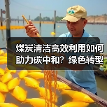 煤炭清洁高效利用如何助力碳中和?绿色转型路线图揭晓(图3) 煤炭清洁高效利用如何助力碳中和?绿色转型路线图揭晓(图3)