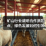 矿山行业战略合作新起点,绿色发展如何引领行业变革?(图2) 矿山行业战略合作新起点,绿色发展如何引领行业变革?(图2)