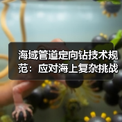 海域管道定向钻技术规范:应对海上复杂挑战(图2) 海域管道定向钻技术规范:应对海上复杂挑战(图2)