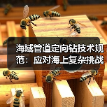 海域管道定向钻技术规范:应对海上复杂挑战(图1) 海域管道定向钻技术规范:应对海上复杂挑战(图1)