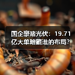 国企豪赌光伏：19.71亿大单暗藏谁的布局？（图4）