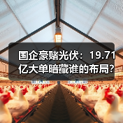 国企豪赌光伏：19.71亿大单暗藏谁的布局？（图2）