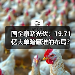 国企豪赌光伏：19.71亿大单暗藏谁的布局？（图1）