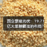 国企豪赌光伏：19.71亿大单暗藏谁的布局？（图3）