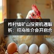 柞村镇矿山投资机遇解析:招商推介会开启合作新篇章(图4) 柞村镇矿山投资机遇解析:招商推介会开启合作新篇章(图4)