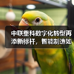 中联重科数字化转型再添新标杆,智能制造如何引领行业升级(图4) 中联重科数字化转型再添新标杆,智能制造如何引领行业升级(图4)