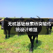 无桩基础悬索桥突破传统设计难题(图4) 无桩基础悬索桥突破传统设计难题(图4)