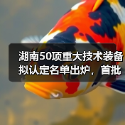湖南50项重大技术装备拟认定名单出炉,首批产品有哪些?(图4) 湖南50项重大技术装备拟认定名单出炉,首批产品有哪些?(图4)