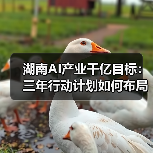湖南AI产业千亿目标:三年行动计划如何布局?(图4) 湖南AI产业千亿目标:三年行动计划如何布局?(图4)