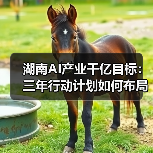 湖南AI产业千亿目标:三年行动计划如何布局?(图3) 湖南AI产业千亿目标:三年行动计划如何布局?(图3)