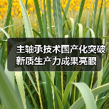 主轴承技术国产化突破新质生产力成果亮眼(图3) 主轴承技术国产化突破新质生产力成果亮眼(图3)